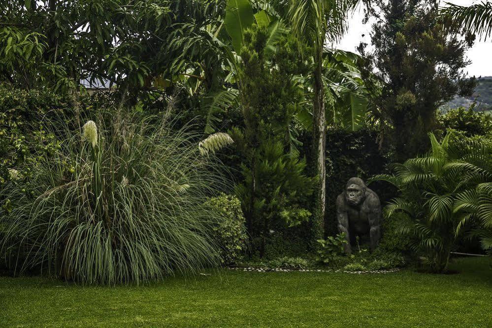 Casa Domingo Hotel Petit Miacatlán 外观 照片